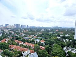 Nathan Suites (D10), Condominium #479966231